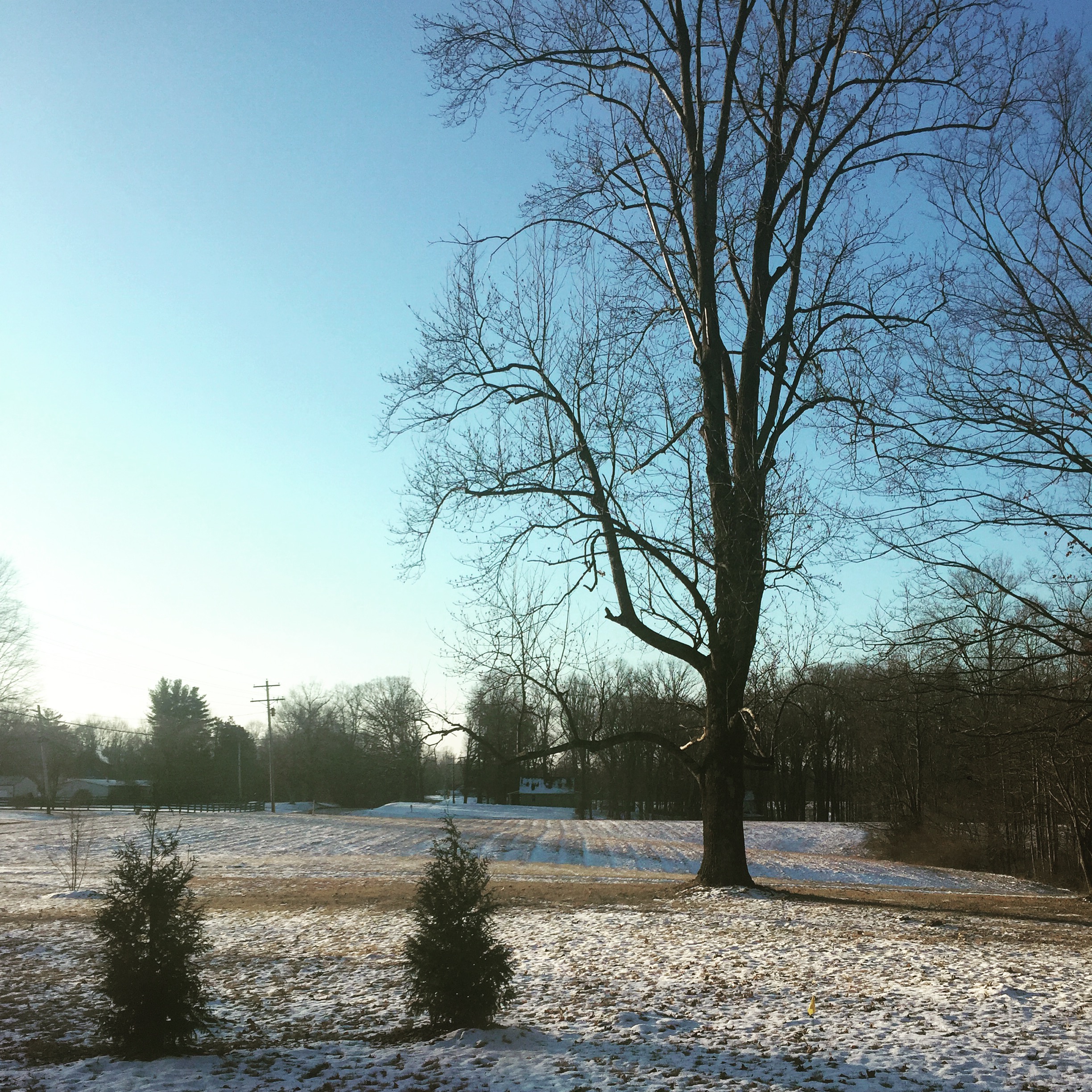Notes from the Field | 001